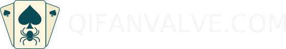 QIFANVALVE.COM